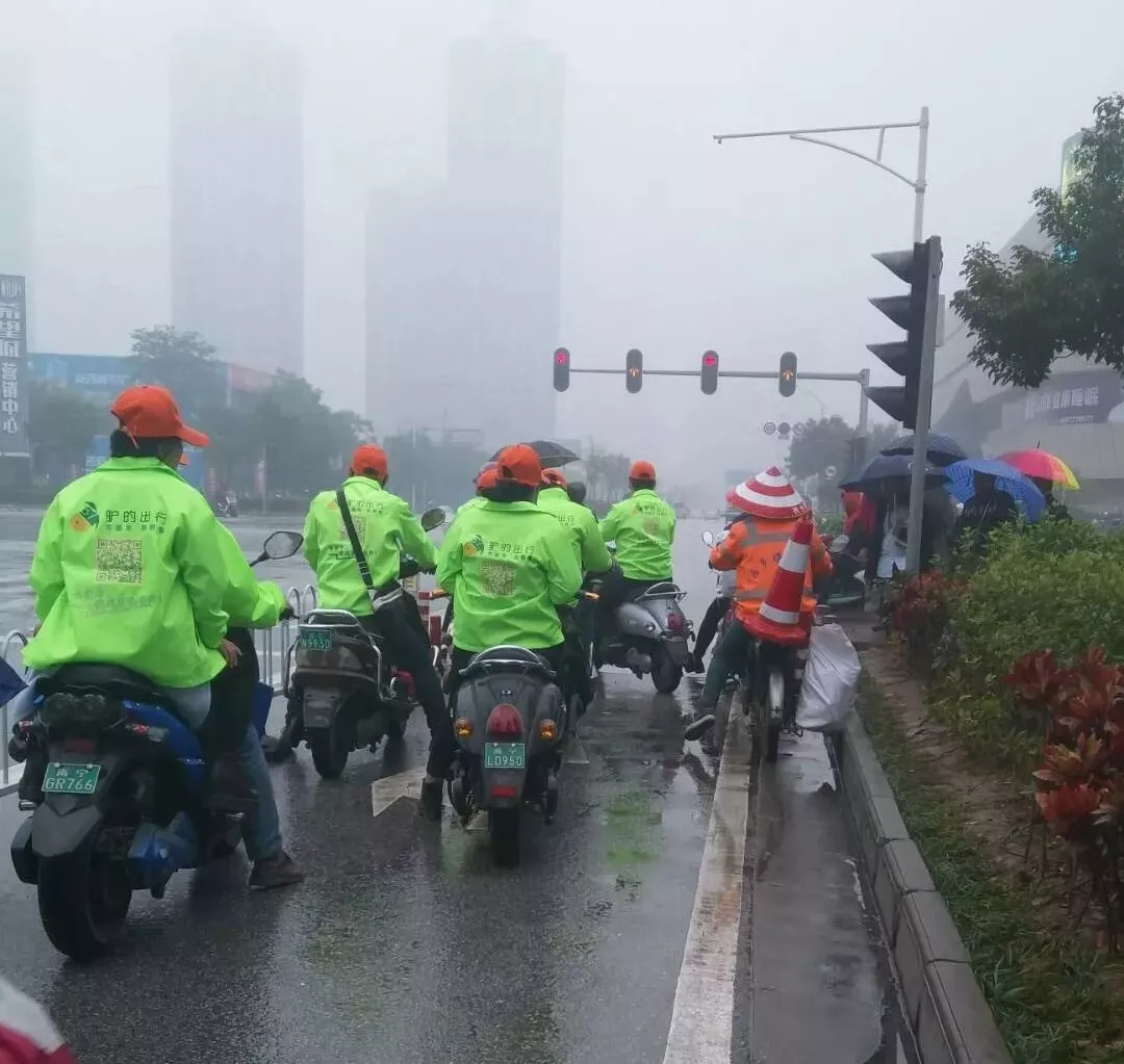 出門打驢？ 南寧“滴滴打驢”被緊急叫停