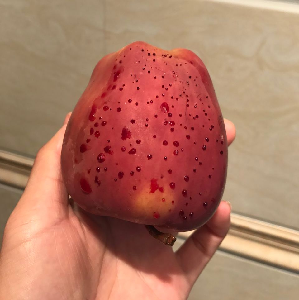 嚇懵！女子用熱水泡蘋(píng)果結(jié)果冒出血珠 咋回事？