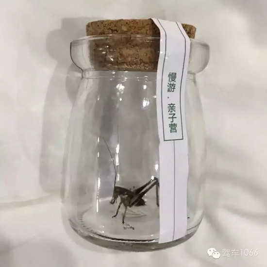 看看我的成果吧！