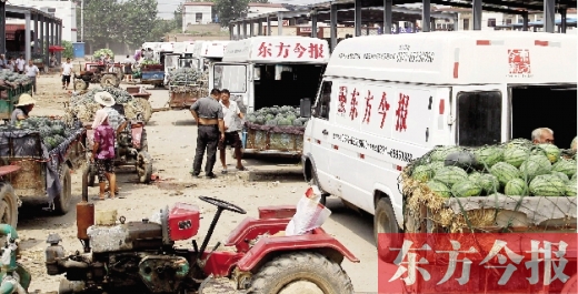 昨日，東方今報與河南福壽園聯(lián)合購瓜，只有更多的市民和企業(yè)加入購瓜行動，瓜農(nóng)們才能早日回家