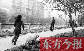 12月3日，鄭州市南關(guān)街熊兒河旁，一名遛狗的女子見到執(zhí)法人員檢查，迅速跑開