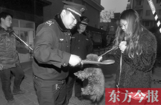 12月3日早上6點半，鄭州市南關(guān)街熊兒河旁，南關(guān)街辦事處的執(zhí)法人員對狗進行排查