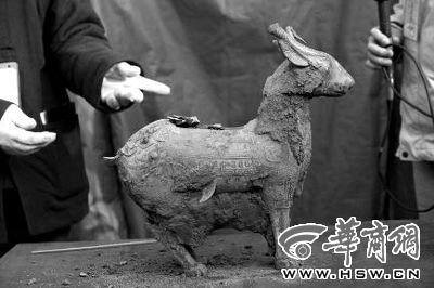 一件似羊似鹿的犧尊華麗亮相，可愛(ài)的造型“萌翻”現(xiàn)場(chǎng)。