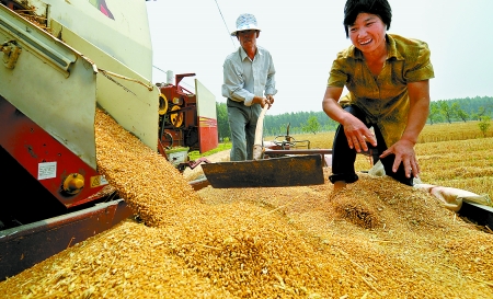 6月3日， 濮陽開發(fā)區(qū)胡村鄉(xiāng)后范莊村的續(xù)秀萍看著新打的粒大飽滿的小麥喜上眉梢。