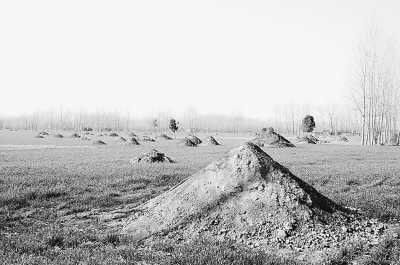 淮陽(yáng)縣豆門鄉(xiāng)倒栽槐村尚未平遷墳頭的農(nóng)田