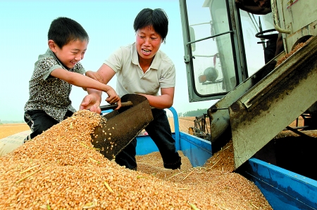 5月27日，確山縣劉店鎮(zhèn)前槽村郭景蓮和小孫子一起收獲小麥，豐收的喜悅寫在了臉上。