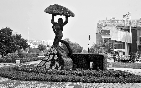 8月28日，南陽街頭繁花似錦，市民宛若行走在花海之中。
