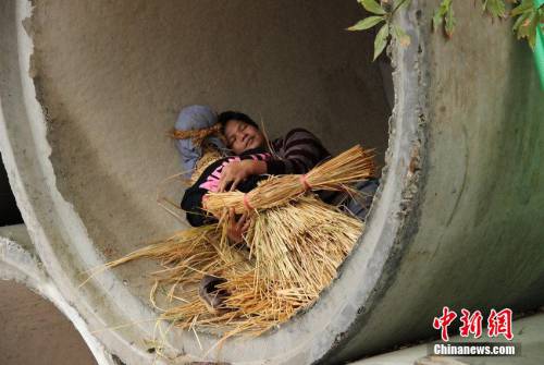 妻雙十一敗家 男子抱稻草人夜宿涵洞 妻雙十一敗家 男子抱稻草人夜宿涵洞