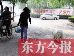 啟明一巷內(nèi)，一名女子帶著狗狗去買菜。狗隨地大小便，狗的主人未制止