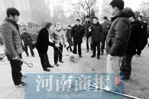 一只辦過狗證的小白狗，因?yàn)闆]有拴犬鏈，被執(zhí)法人員暫扣