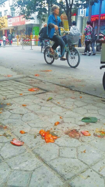 爛了一地的柿子影響市容，還常?；谷恕? width=