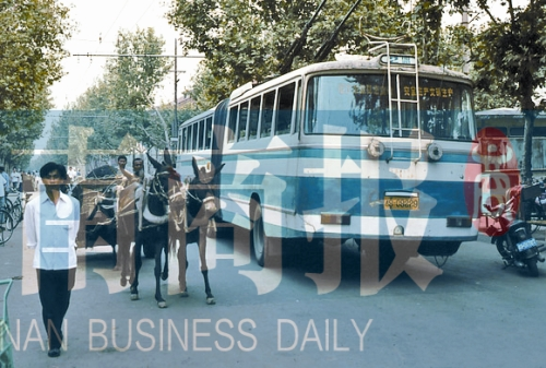 當(dāng)年的伏牛路，驢車和公交車并行