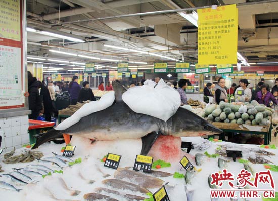 鄭州市一家超市海鮮區(qū)的冰架上赫然擺著一整條鯊魚在出售，鯊魚肉價(jià)格為23.80元每斤，遠(yuǎn)低于牛羊肉的價(jià)