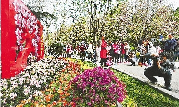 市民紛紛將鏡頭對準(zhǔn)花叢。