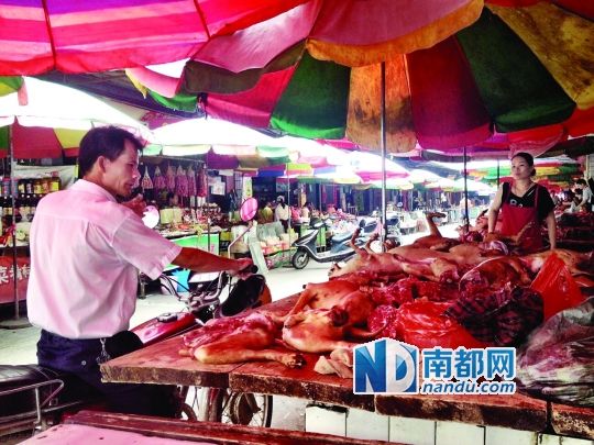  昨日，玉林垌口市場，一位市民在購買狗肉。