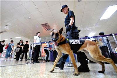 地鐵王府井站搜汽油警犬在安檢口巡邏。新京報記者 王貴彬 攝