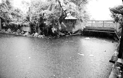 白云區(qū)棠樂路通往石槎路的一個鐵路橋底涵洞常被暴雨積水淹沒。《信息時報》供圖