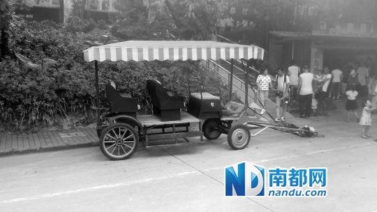 園方則稱解剖后發(fā)現(xiàn)馬死于心臟衰竭，“與累無關(guān)”。