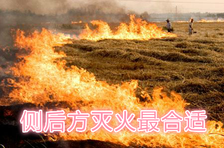 不要在風(fēng)頭上打火：風(fēng)正大，火正旺，最容易傷人；