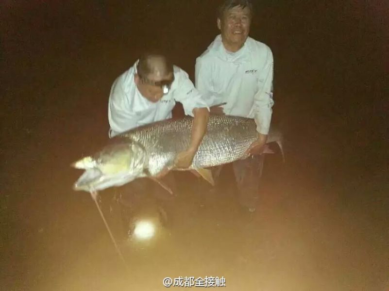 圖為大魚需要兩個人抱起。
