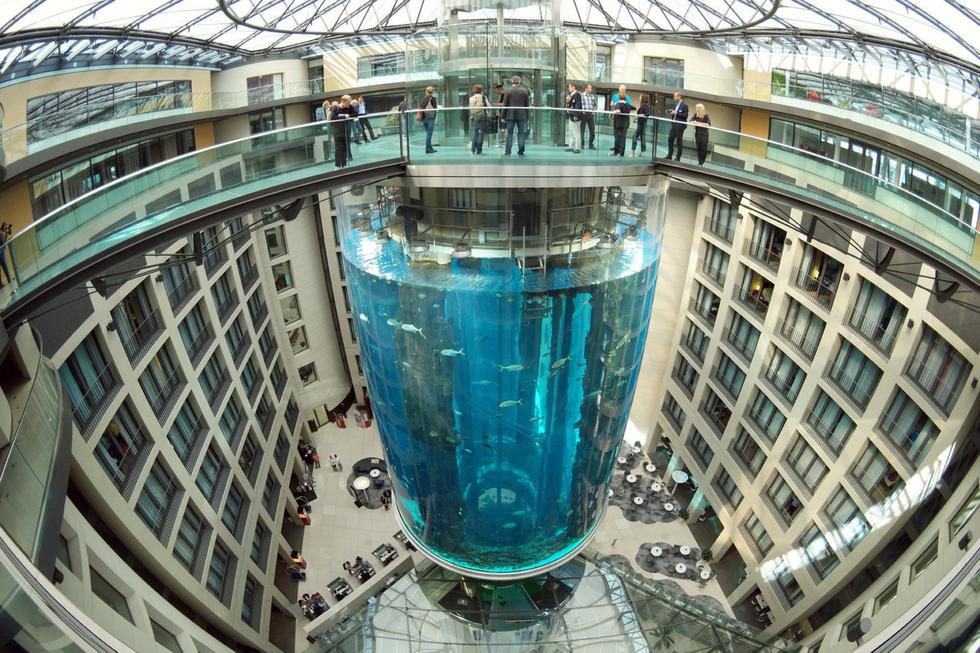 在圓柱水族館主體下方，還有一些別的展館。