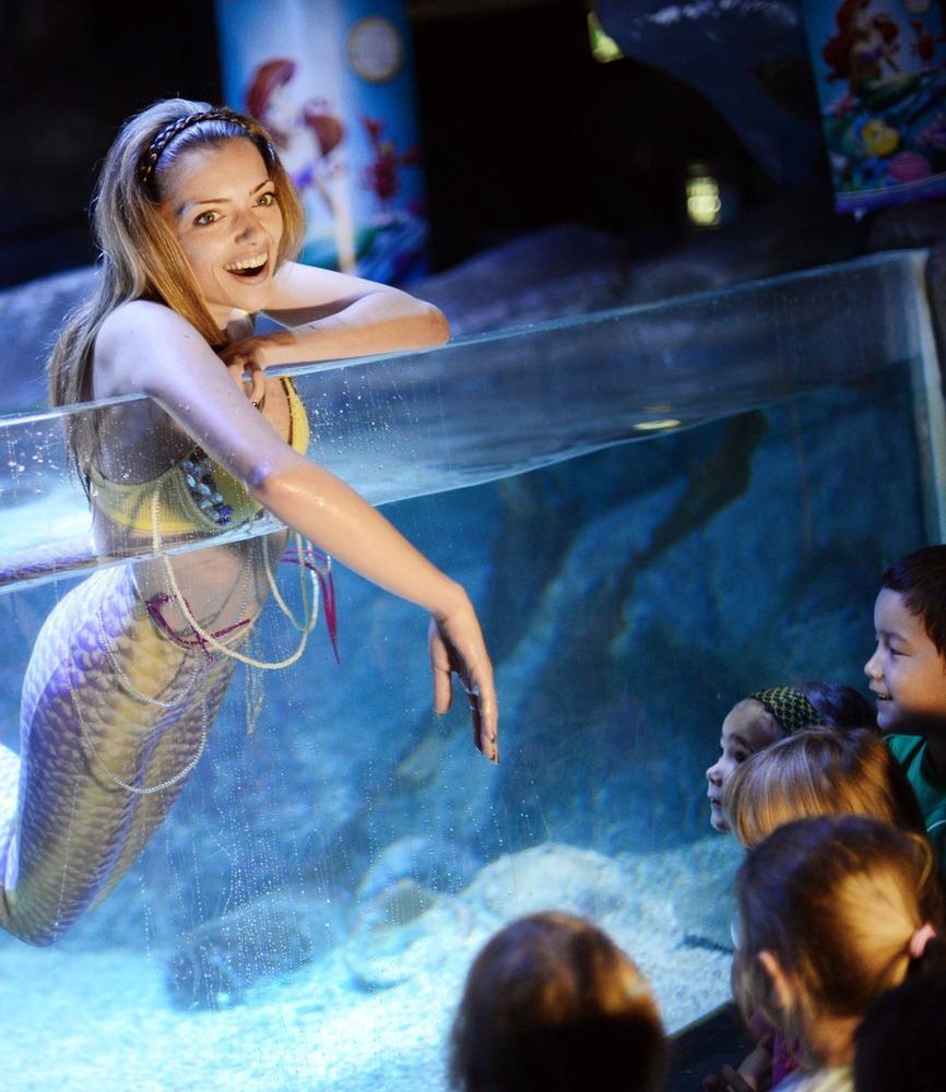 德國(guó)女演員安妮·門登在水族館里客串了一把“美人魚”，順便為她的電影《小美人魚》做宣傳。
