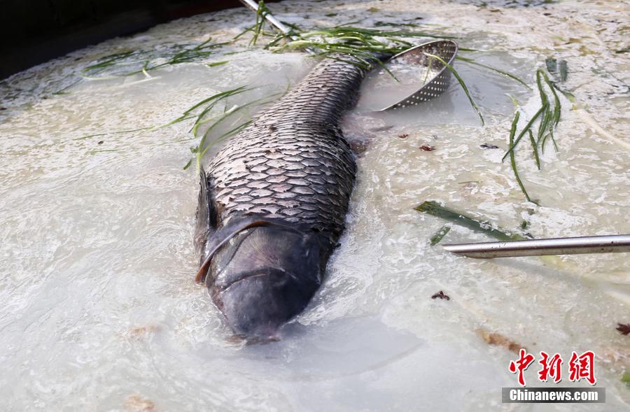 “魚王”在3米大鍋內(nèi)烹飪。 圖片來源：CFP視覺中國