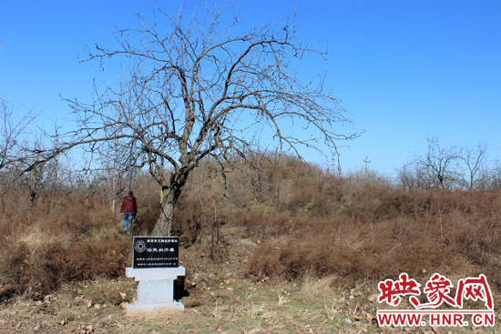 在叔齊墓的前面，豎著新鄭市人民政府今年剛立的石碑，上面寫著“新鄭市文物保護(hù)單位”。