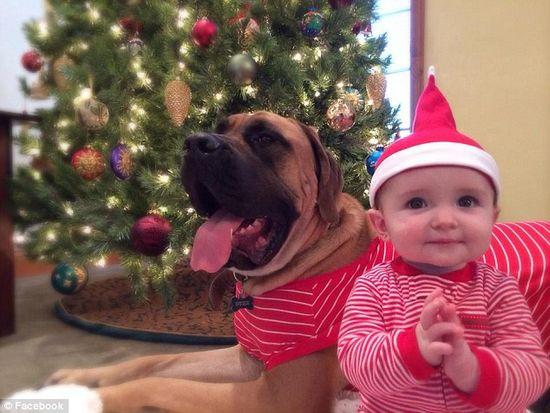 圖為美國(guó)2歲大的寵物犬與主人9個(gè)月大的女嬰。圖片來(lái)源：臉譜網(wǎng)站（Facebook）。