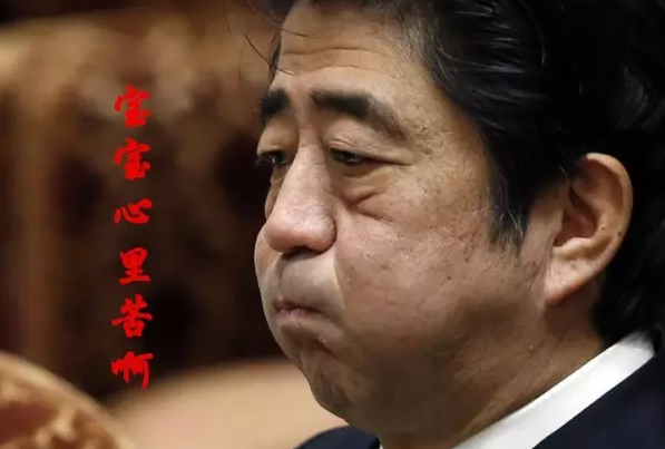 這種看安倍“熱鬧”的事兒，環(huán)環(huán)絕不私藏，一定雨露均沾!
