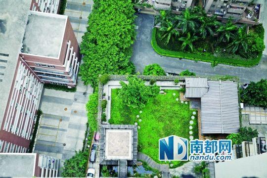 中旅商務(wù)大廈的“空中花園”。