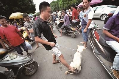 有人購(gòu)買，一名沒(méi)有談好價(jià)錢(qián)的狗販試圖通過(guò)踢打狗博得高價(jià)