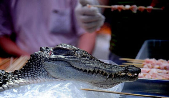 沈陽(yáng)現(xiàn)“烤鱷魚肉”20元一串現(xiàn)烤現(xiàn)賣(圖)