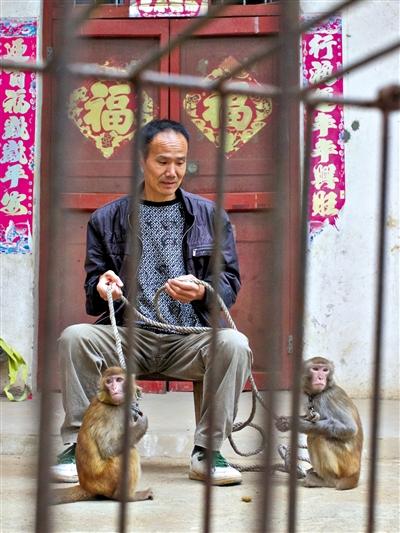 10月13日，耍猴人鮑慶山牽著從牡丹江帶回的兩只小猴在家門口玩耍。