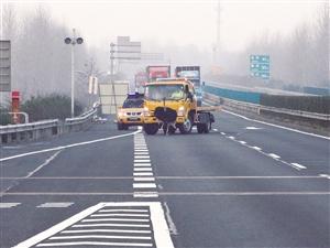 2米高鴕鳥撞破收費站護欄，高速上狂奔8公里。