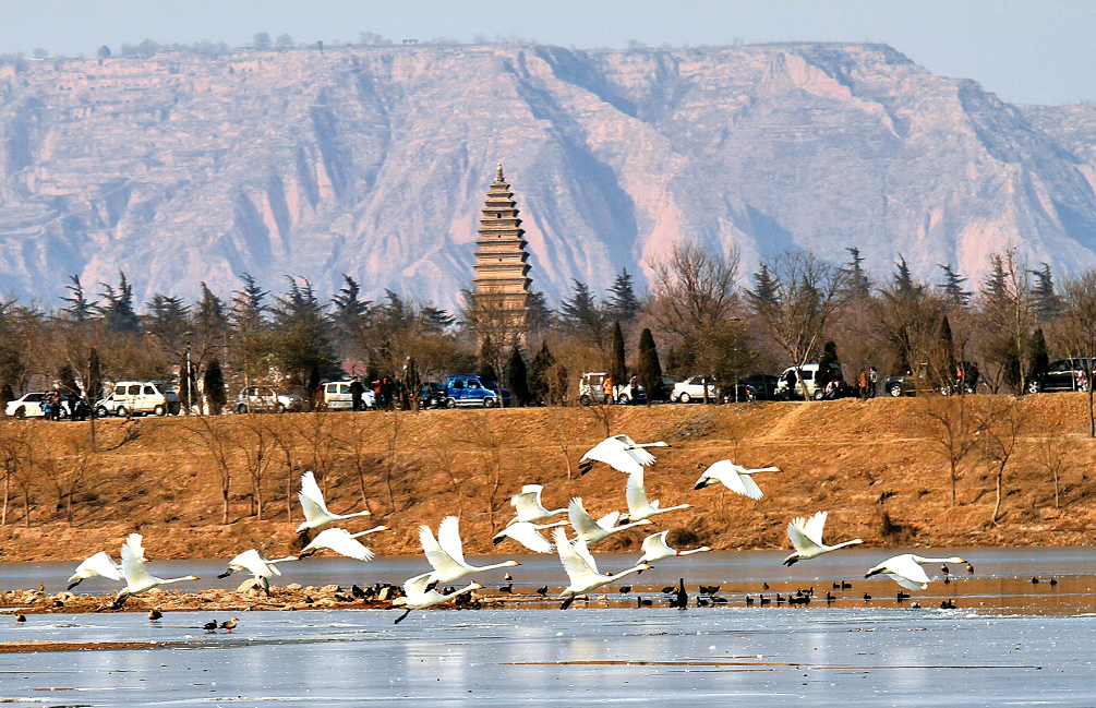 5月19日，“中國(guó)旅游日”河南分會(huì)場(chǎng)活動(dòng)將在天鵝之城——三門峽舉辦。