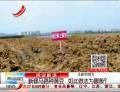 新修馬路種黃豆  如此做法為哪般？