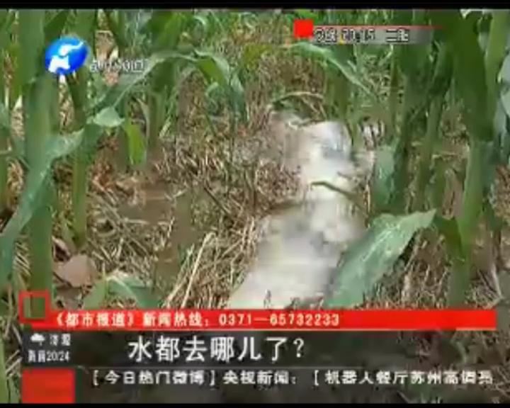 水都去哪了？