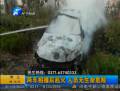 兩車(chē)相撞一車(chē)被撞飛樹(shù)上