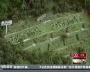 “垃圾場(chǎng)”拍婚紗：玩噱頭還是做環(huán)保？