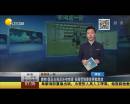 爽??！國足出線后還有驚喜 張稀哲狼堡首秀獻(xiàn)助攻