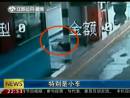 高速邊苦等十三天 主人你在哪里？