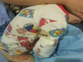猛獸出沒 注意！2歲男童在動(dòng)物園被白虎咬掉右臂