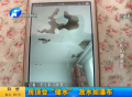 房頂會(huì)“儲水”  放水如瀑布