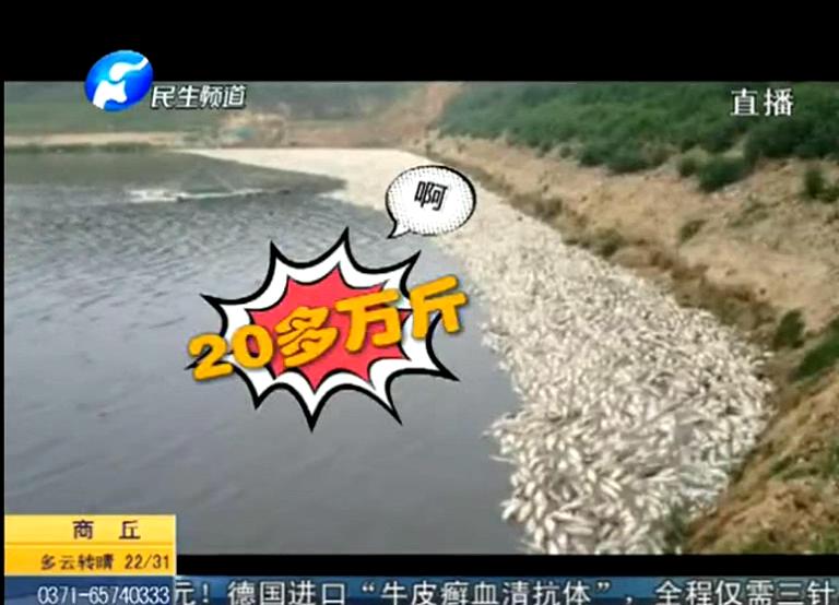 20萬斤魚翻肚因缺氧？