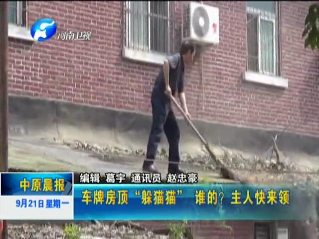 車(chē)牌房頂“躲貓貓”誰(shuí)的？