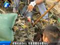 收割機連傷4人 專家提醒安全需當(dāng)心