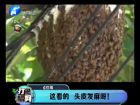 這看的 頭皮發(fā)麻呀！-打漁曬網(wǎng)