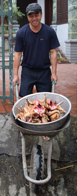 越南貓肉餐廳：將貓淹死、剝皮、切成小塊，再油炸