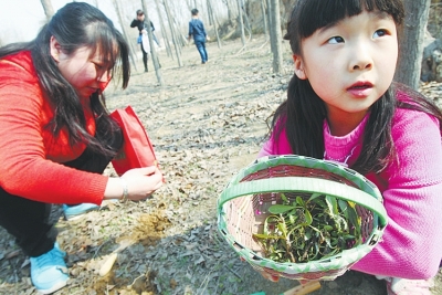 春季想挖野菜去哪里 鄭州采挖線(xiàn)路圖攻略